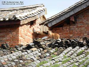 019 - Shaxi